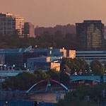 电话轰炸业务网