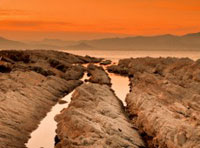 短信轰机轰炸app下载安卓手机