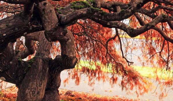 短信轰机轰炸app下载安卓手机